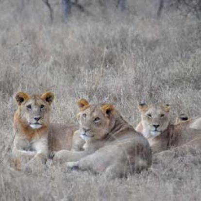 ©Stéphanie R. - Tous Droits Réservés Voyage en Tanzanie de Stéphanie R.