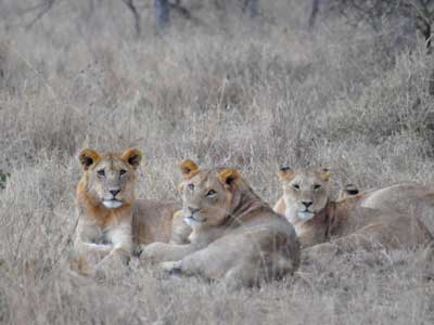 ©Stéphanie R. - Tous Droits réservés Voyage en Tanzanie de Stéphanie R.