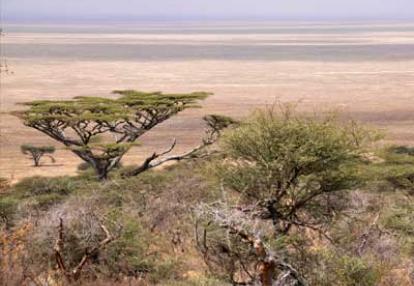 Voyage en Tanzanie de Stéphanie R.