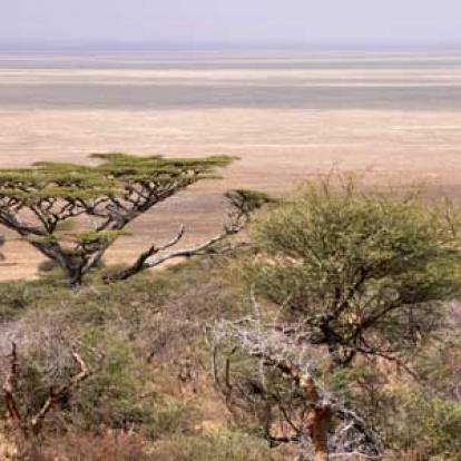 ©Stéphanie R. - Tous Droits Réservés Voyage en Tanzanie de Stéphanie R.