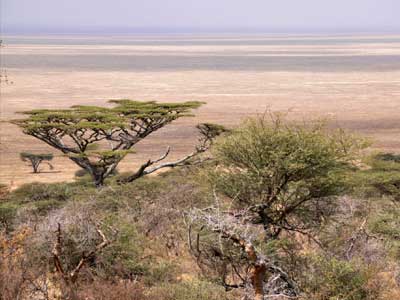 ©Stéphanie R. - Tous Droits réservés Voyage en Tanzanie de Stéphanie R.