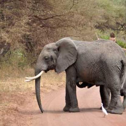©Stéphanie R. - Tous Droits Réservés Voyage en Tanzanie de Stéphanie R.