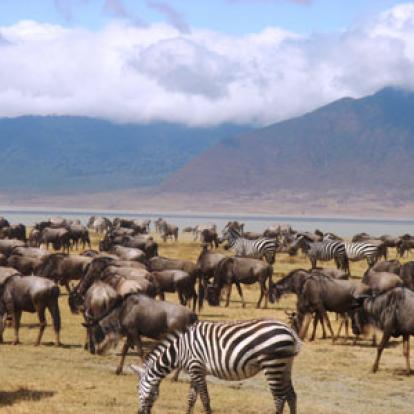 Voyage en Tanzanie de Louise B.