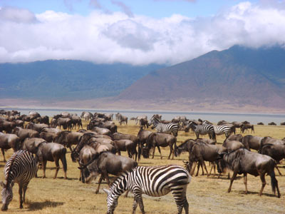 Voyage en Tanzanie de Louise B.
