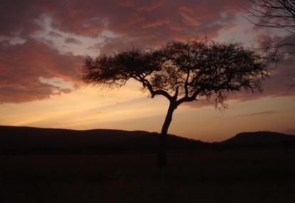 ©Louise B. - Tous Droits réservés Voyage en Tanzanie de Louise B.