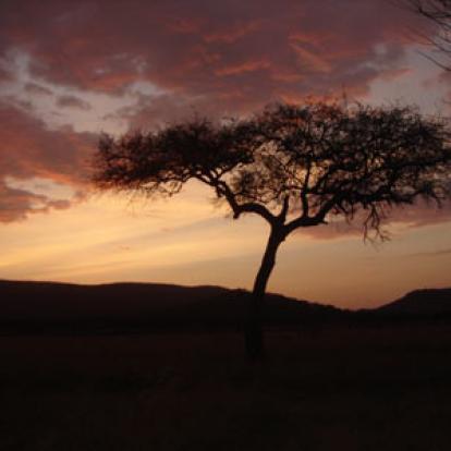 Voyage en Tanzanie de Louise B.