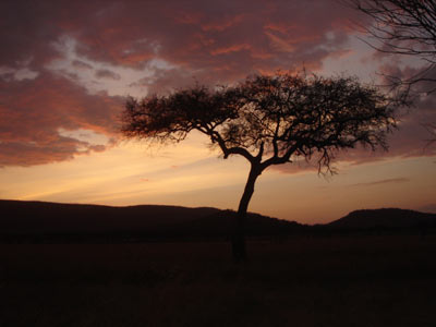 Voyage en Tanzanie de Louise B.