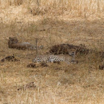 Voyage en Tanzanie d'Aline