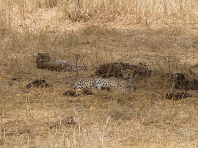 Voyage en Tanzanie d'Aline