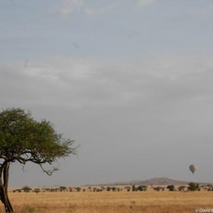 Voyage en Tanzanie d'Aline