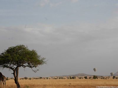 Voyage en Tanzanie d'Aline