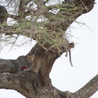 Voyage en Tanzanie d'Aline