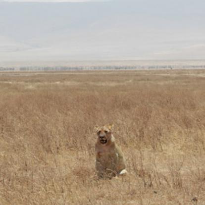 Voyage en Tanzanie d'Aline