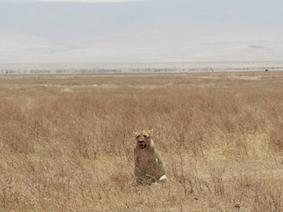 Voyage en Tanzanie d'Aline