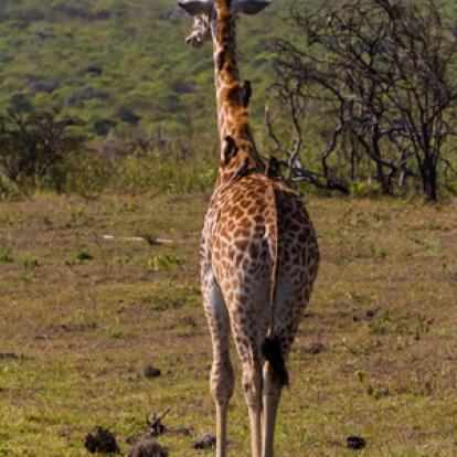 Voyage en Tanzanie d'Aline