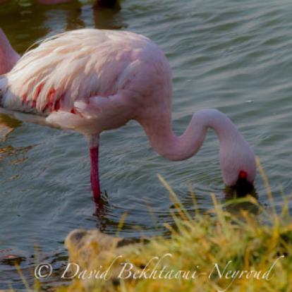 Voyage en Tanzanie d'Aline