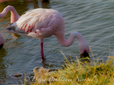 Voyage en Tanzanie d'Aline