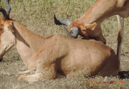 Séjour en Tanzanie d'Isabelle