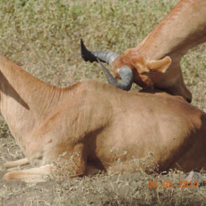 Séjour en Tanzanie d'Isabelle