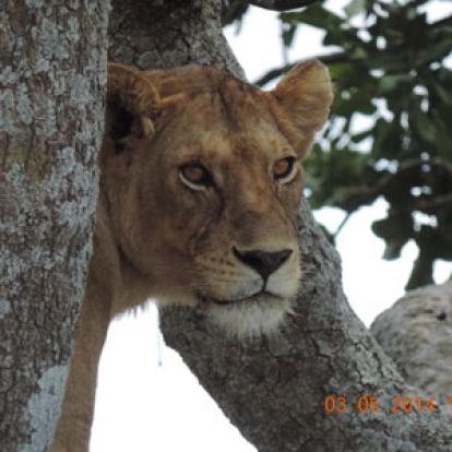 Séjour en Tanzanie d'Isabelle