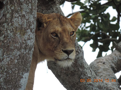 Séjour en Tanzanie d'Isabelle