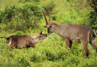 Séjour en Tanzanie de Jean