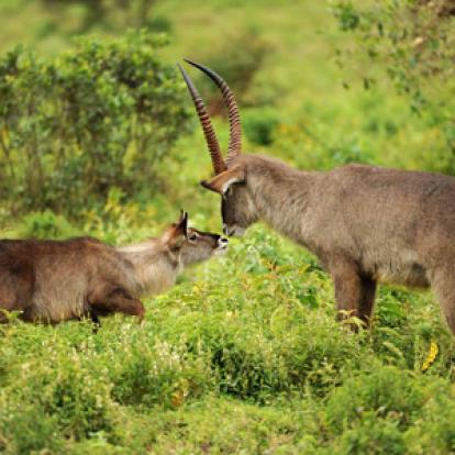 Séjour en Tanzanie de Jean