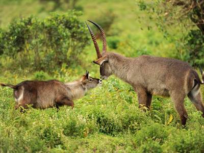 Séjour en Tanzanie de Jean