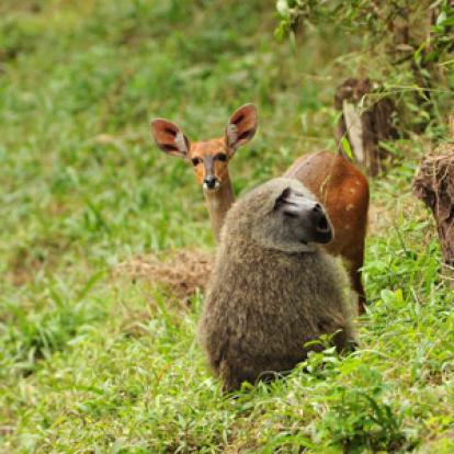 Séjour en Tanzanie de Jean