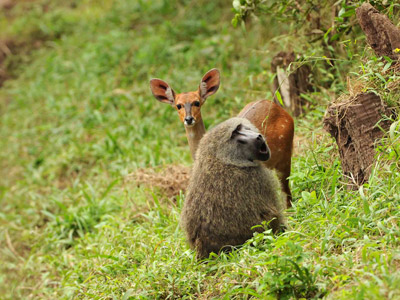 Séjour en Tanzanie de Jean