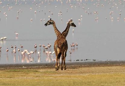 Séjour en Tanzanie de Jean