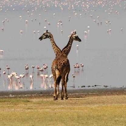 Séjour en Tanzanie de Jean