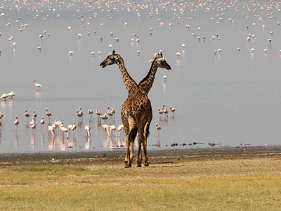 Séjour en Tanzanie de Jean