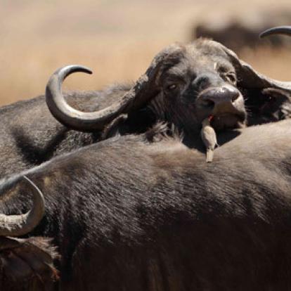 Séjour en Tanzanie de Jean