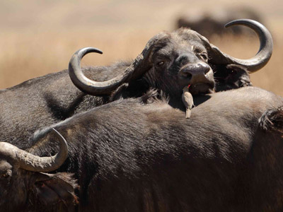 Séjour en Tanzanie de Jean