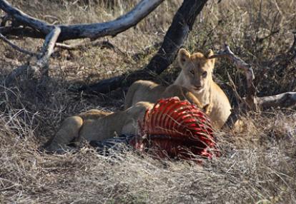 Séjour en Tanzanie de Claude