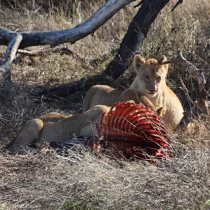 Séjour en Tanzanie de Claude