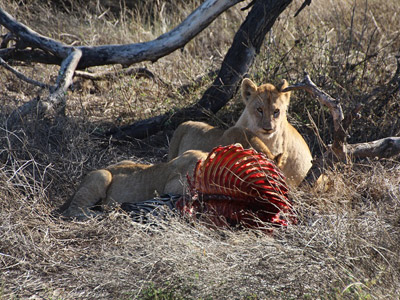 Séjour en Tanzanie de Claude