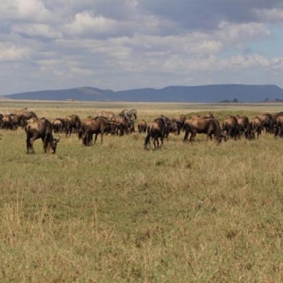 Séjour en Tanzanie de Claude