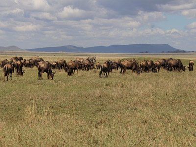Séjour en Tanzanie de Claude