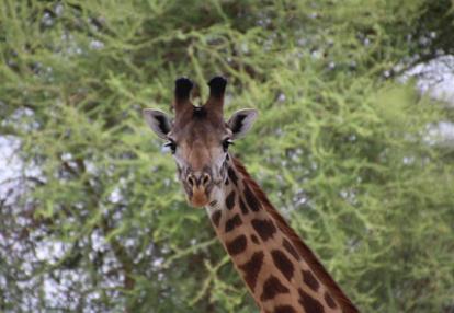 Séjour en Tanzanie de Claude