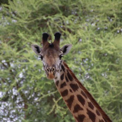 Séjour en Tanzanie de Claude