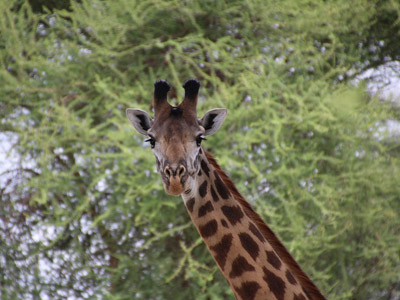 Séjour en Tanzanie de Claude