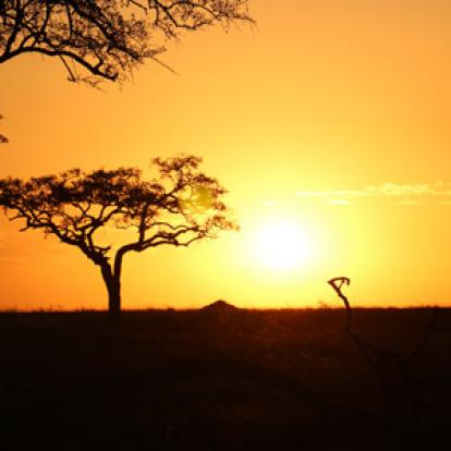Séjour en Tanzanie de la Famille de Sylvie