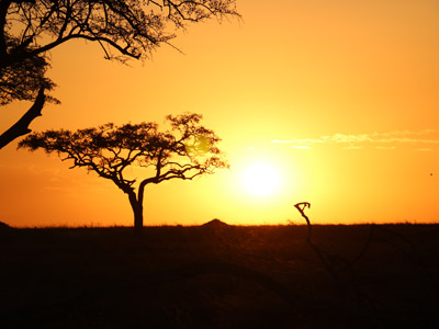 Séjour en Tanzanie de la Famille de Sylvie