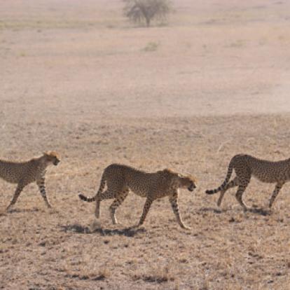 Séjour en Tanzanie de la Famille de Sylvie