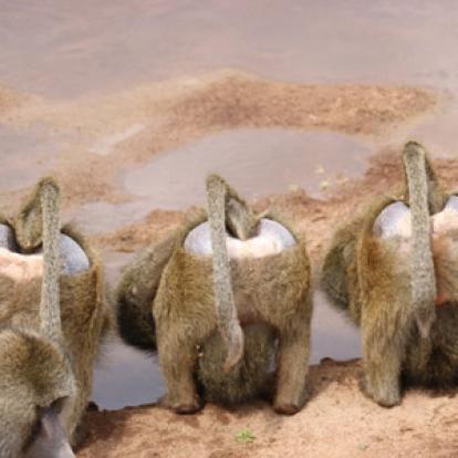 Séjour en Tanzanie de la Famille de Sylvie