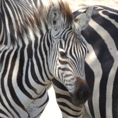 Voyage en Colombie de Jocelyne