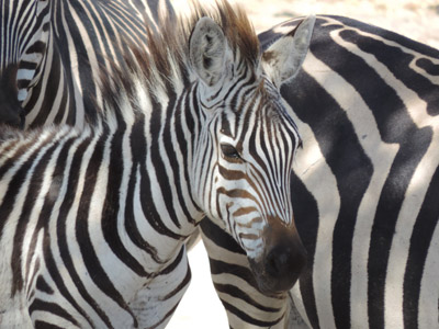 Voyage en Colombie de Jocelyne