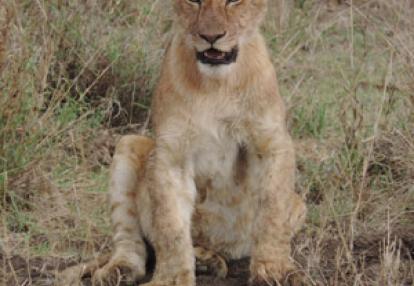 Voyage en Colombie de Jocelyne